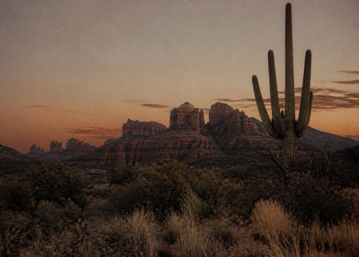 A saguaro cactus silhouetted against Sedona red rock formations at dusk, warm rust and cream sky