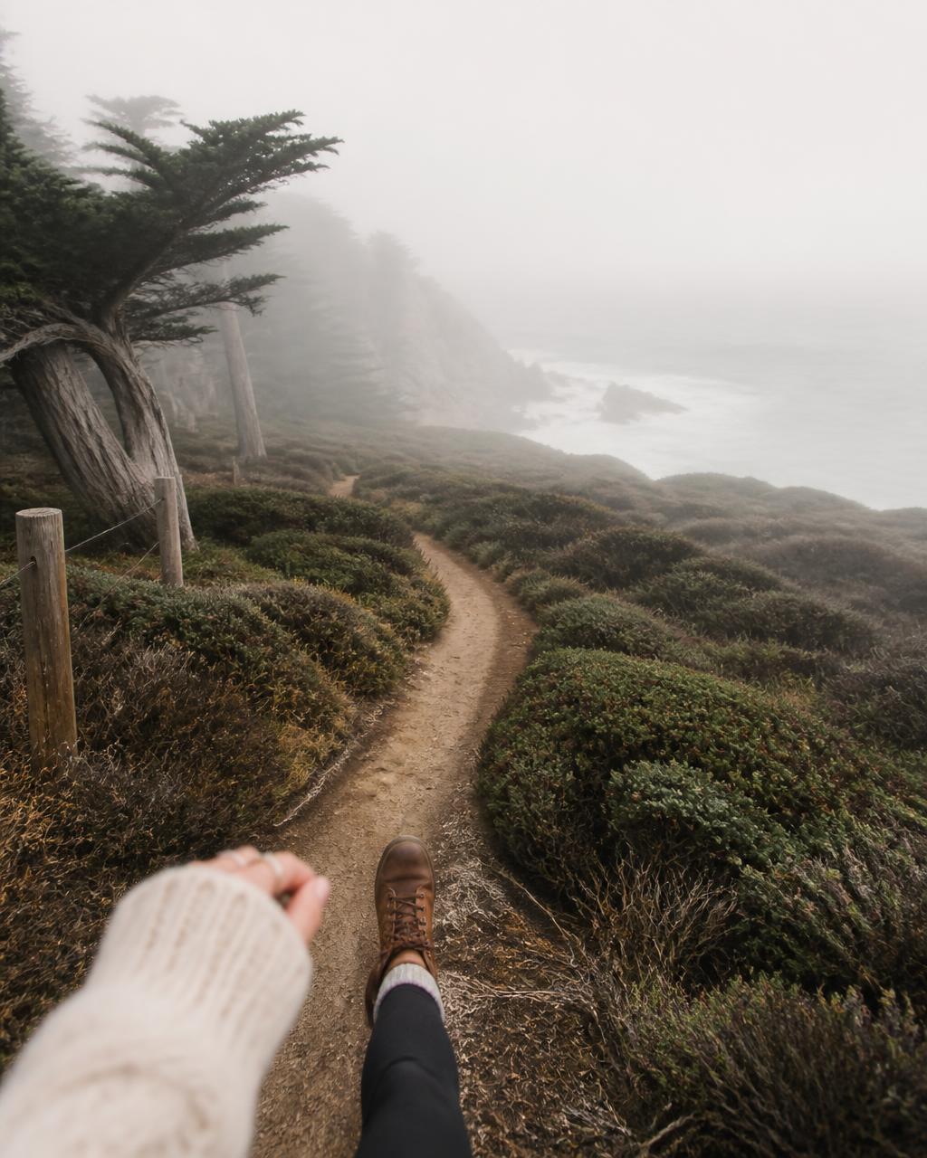 A foggy coastal trail winding through cypress trees toward the gray ocean at Point Reyes in winter
